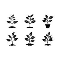 High-Quality Plant-Growing Graphics Design Files for Your Creative Projects vector