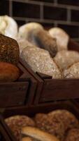 Assorted Doughnuts Displayed in Bakery video