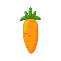 Orange carrot with green leaves. Carrot icon isolated on white background. vegetable symbol in cartoon style. vector