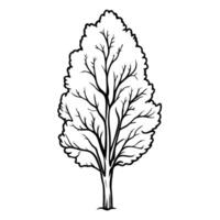 Stylized black and white tree illustration with intricate branching pattern vector
