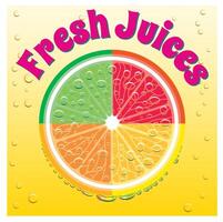 banner for juice grapefruit, orange, lime, lemon vector