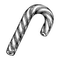A candy cane with a striped design vector