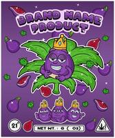 Fig Fruit Strain In Herbal Leaf and Brand Name Product Packaging. For Product, Label, Business and Brand Product. Vectors Illustrations.