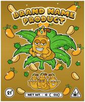 Mango Fruit Strain In Herbal Leaf and Brand Name Product Packaging. For Product, Label, Business and Brand Product. Vectors Illustrations.