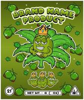 Coconut Fruit Strain In Herbal Leaf and Brand Name Product Packaging. For Product, Label, Business and Brand Product. Vectors Illustrations.