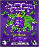 Grape Fruit Strain In Herbal Leaf and Brand Name Product Packaging. For Product, Label, Business and Brand Product. Vectors Illustrations.