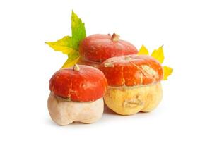 Autumn display with pumpkin and leaves isolated on white background photo