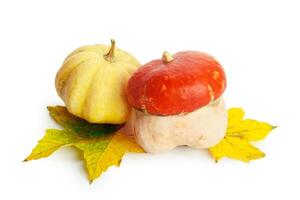 Autumn display with pumpkin and leaves isolated on white background photo
