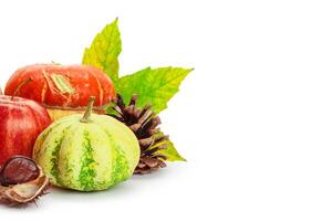 Autumn display with pumpkin and leaves isolated on white background photo