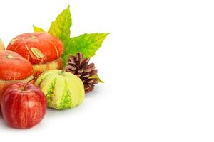 Autumn display with pumpkin and leaves isolated on white background photo