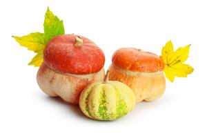 Autumn display with pumpkin and leaves isolated on white background photo