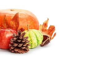 Autumn display with pumpkin and leaves isolated on white background photo