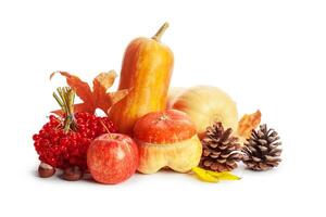 Autumn display with pumpkin and leaves isolated on white background photo