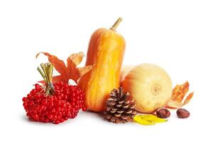 Autumn display with pumpkin and leaves isolated on white background photo