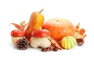 Autumn display with pumpkin and leaves isolated on white background photo