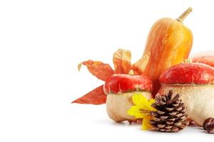 Autumn display with pumpkin and leaves isolated on white background photo