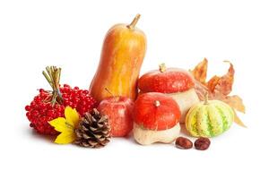 Autumn display with pumpkin and leaves isolated on white background photo