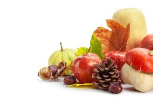 Autumn display with pumpkin and leaves isolated on white background photo