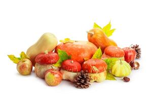 Autumn display with pumpkin and leaves isolated on white background photo