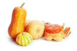 Autumn display with pumpkin and leaves isolated on white background photo