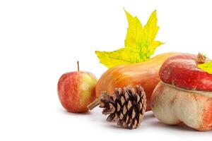 Autumn display with pumpkin and leaves isolated on white background photo