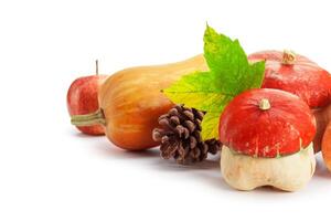 Autumn display with pumpkin and leaves isolated on white background photo