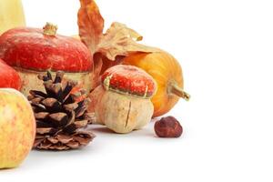 Autumn display with pumpkin and leaves isolated on white background photo