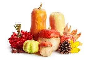 Autumn display with pumpkin and leaves isolated on white background photo