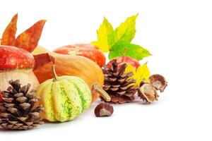 Autumn display with pumpkin and leaves isolated on white background photo