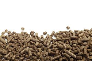 stack of wooden pellets for bio energy, white background, isolated photo