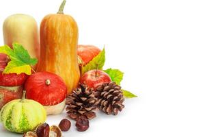 Autumn display with pumpkin and leaves isolated on white background photo