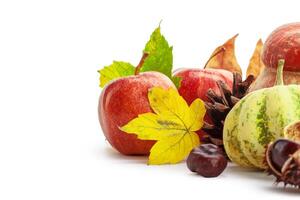 Autumn display with pumpkin and leaves isolated on white background photo