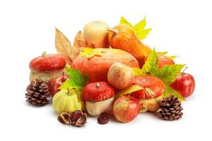 Autumn display with pumpkin and leaves isolated on white background photo