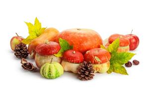 Autumn display with pumpkin and leaves isolated on white background photo