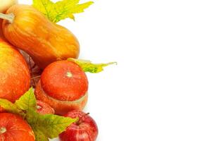 Autumn display with pumpkin and leaves isolated on white background photo