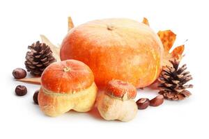 Autumn display with pumpkin and leaves isolated on white background photo