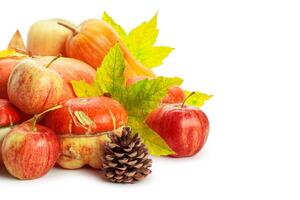 Autumn display with pumpkin and leaves isolated on white background photo