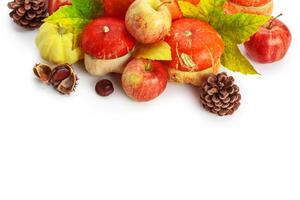 Autumn display with pumpkin and leaves isolated on white background photo