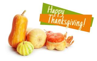 Happy Thanksgiving tag with autumn pumpkins photo