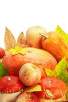 Autumn display with pumpkin and leaves isolated on white background photo