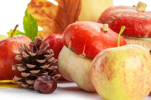 Autumn display with pumpkin and leaves isolated on white background photo