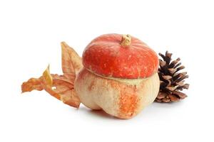 Autumn display with pumpkin and leaves isolated on white background photo