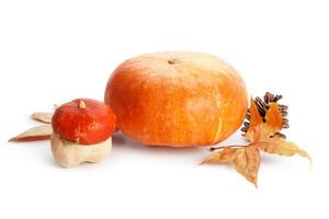 Autumn display with pumpkin and leaves isolated on white background photo