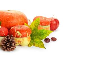 Autumn display with pumpkin and leaves isolated on white background photo