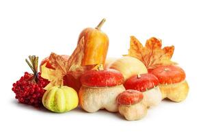 Autumn display with pumpkin and leaves isolated on white background photo