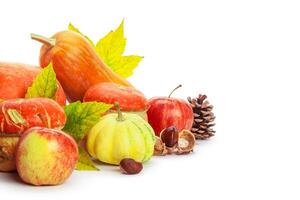 Autumn display with pumpkin and leaves isolated on white background photo