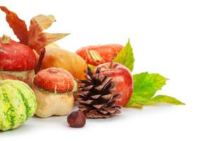 Autumn display with pumpkin and leaves isolated on white background photo