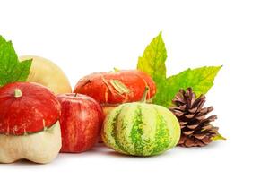 Autumn display with pumpkin and leaves isolated on white background photo