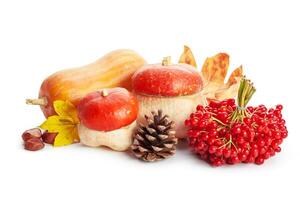 Autumn display with pumpkin and leaves isolated on white background photo