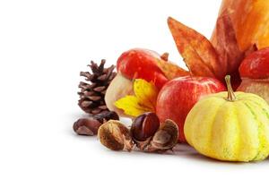 Autumn display with pumpkin and leaves isolated on white background photo
